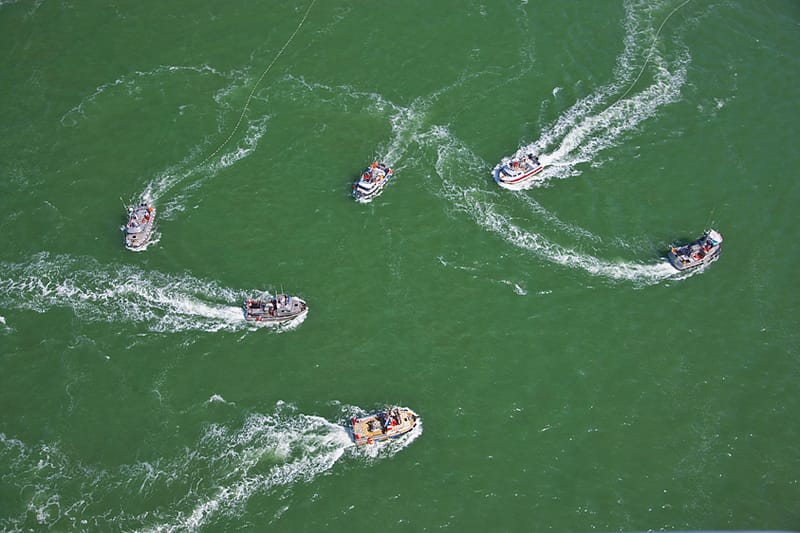 Bristol Bay, Alaska 5